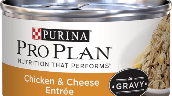 Purina Pro Plan Chicken & Cheese Entrée In Gravy